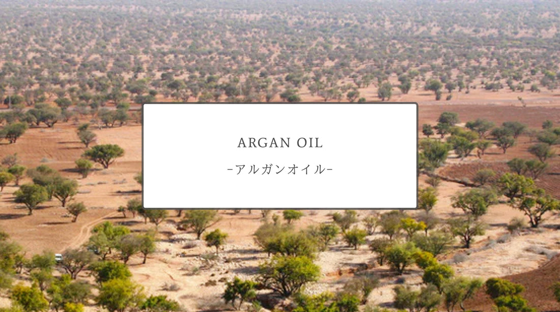 Argan Oil: The Liquid Gold of Skincare