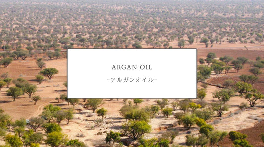 Argan Oil: The Liquid Gold of Skincare