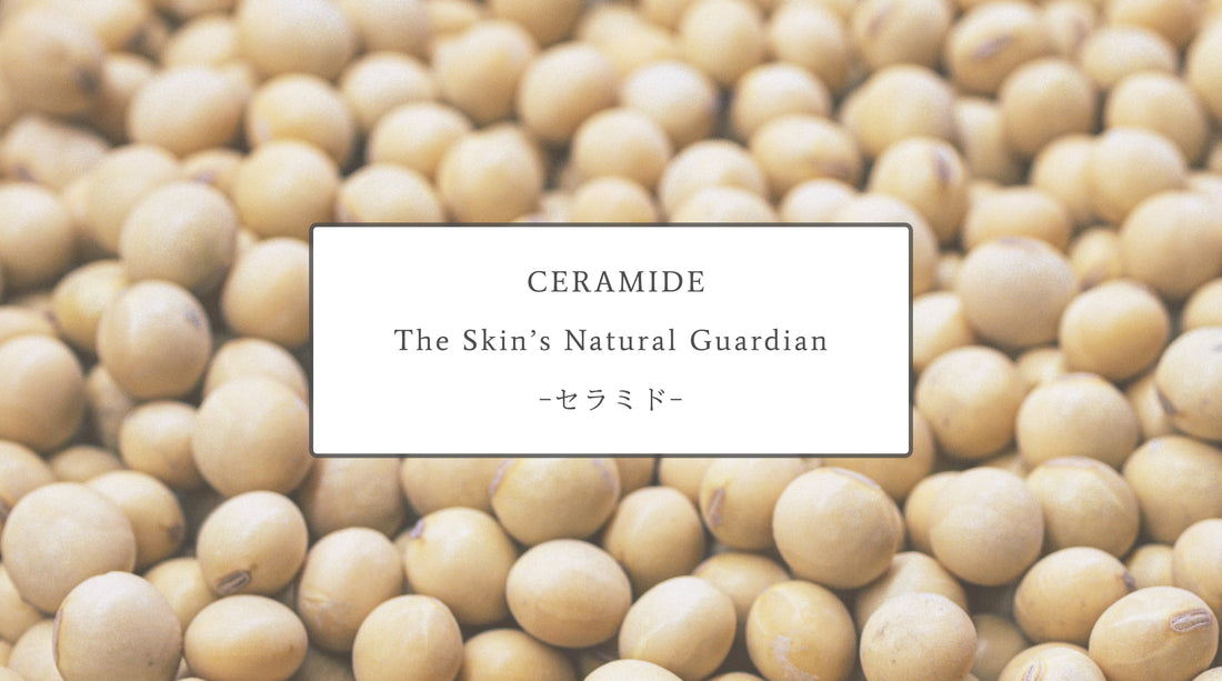 Ceramide: The Skin’s Natural Guardian