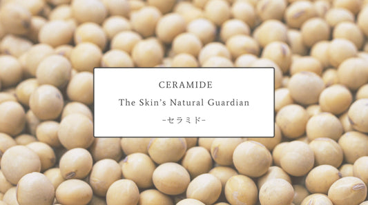 Ceramide: The Skin’s Natural Guardian