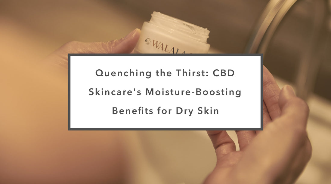 Quenching the Thirst: CBD Skincare's Moisture-Boosting Benefits for Dry Skin