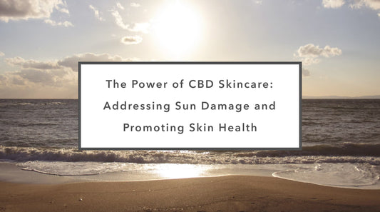 The Power of CBD Skincare: Addressing Sun Damage and Promoting Skin Health